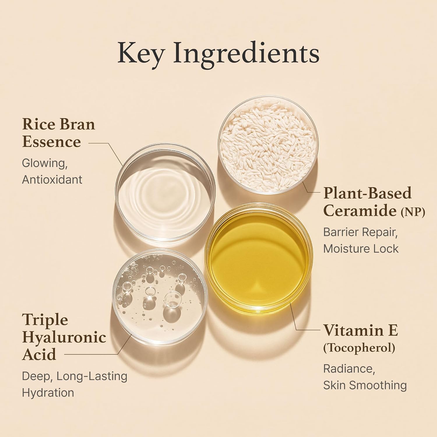 I'M FROM - Rice Cream 1.76 oz - Dolly Jolly LLC